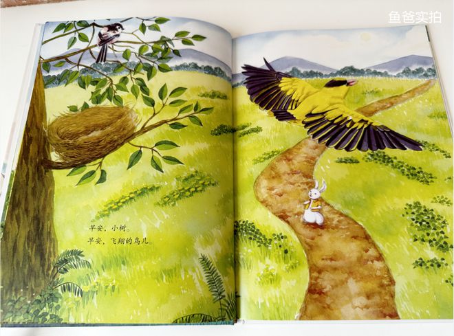 彩神孩子闹书荒了！我攒了这么多的好书趁这一波降价赶紧入(图60)